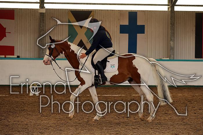 Novice1157