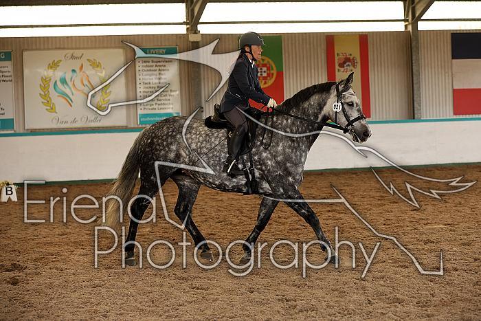 Novice3028