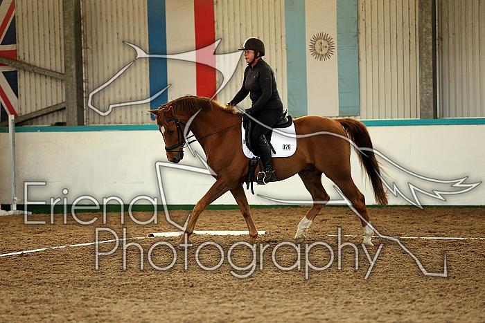 Novice3060
