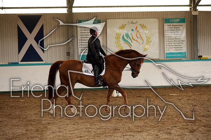 Novice3076