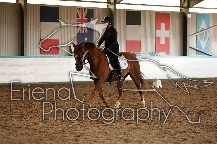 Novice3077