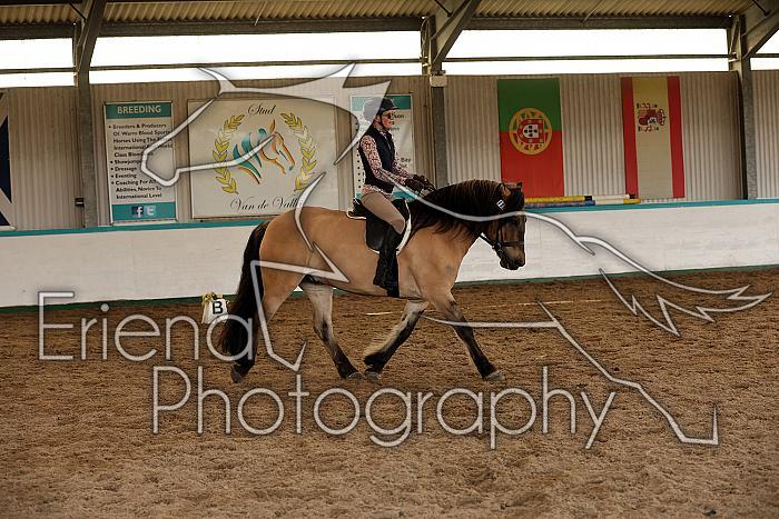Novice3100