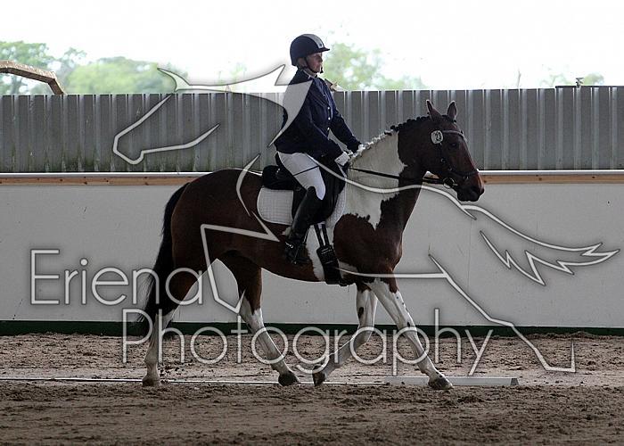 Novice 24003