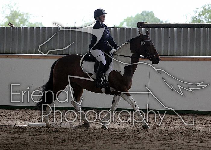 Novice 24004