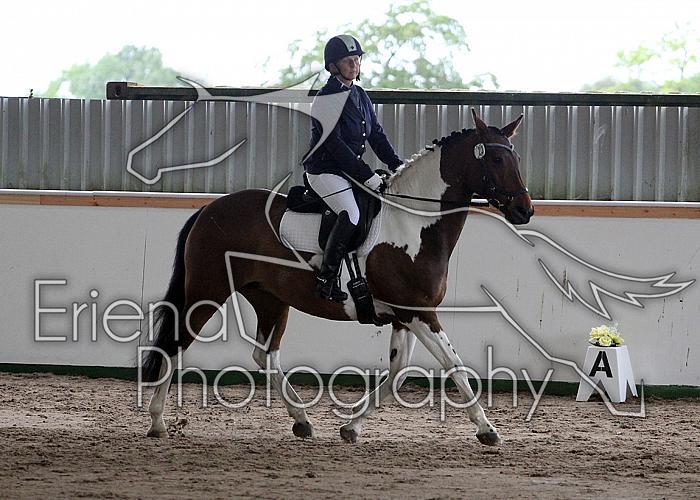 Novice 24005
