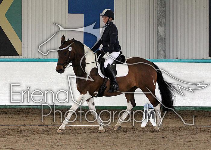 Novice 24006