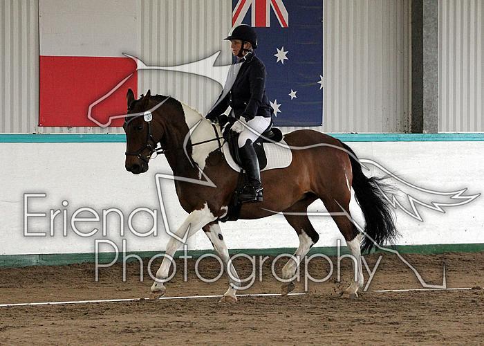 Novice 24010