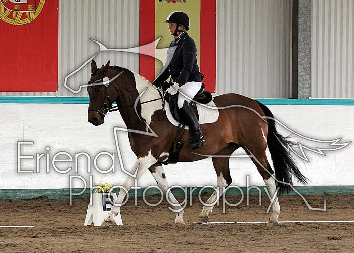 Novice 24012