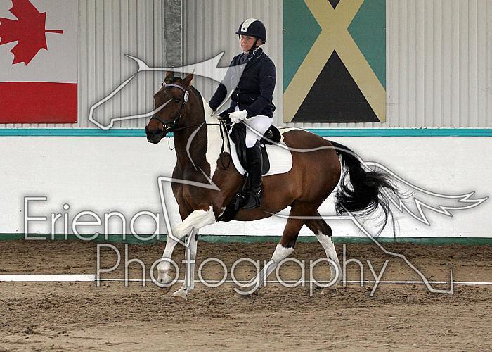 Novice 24013
