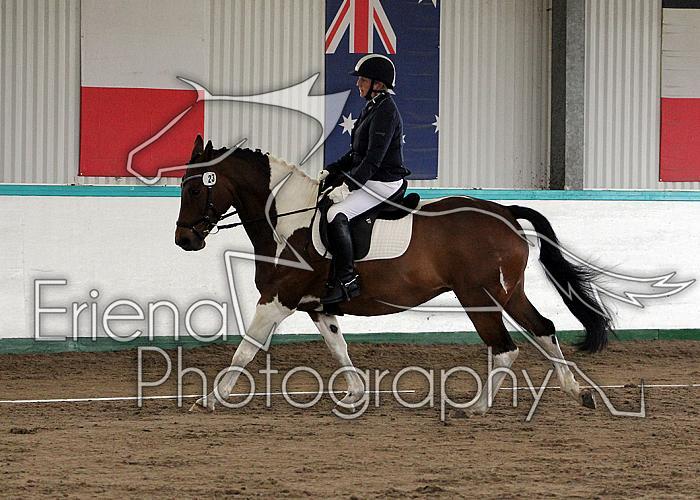 Novice 24015