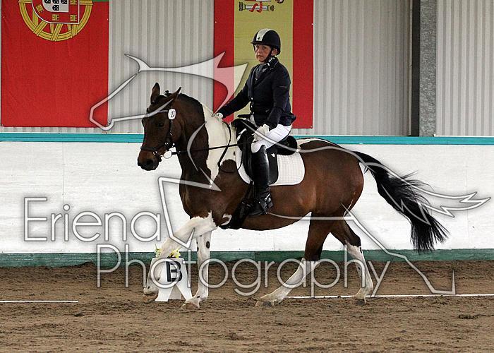 Novice 24017
