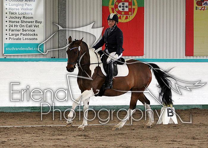 Novice 24018