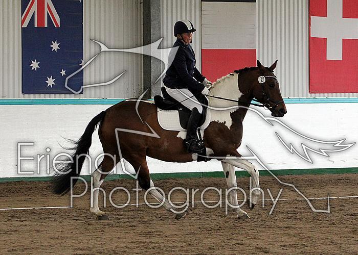 Novice 24020