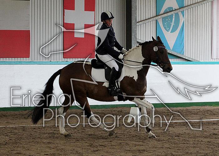 Novice 24021