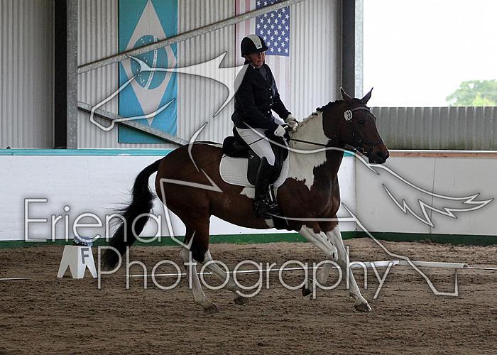 Novice 24022