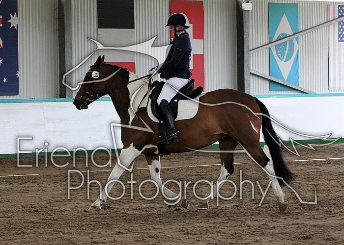 Novice 24026