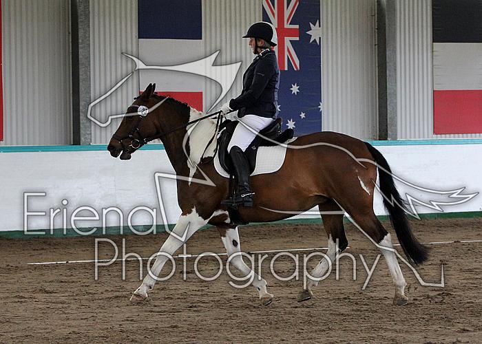 Novice 24027