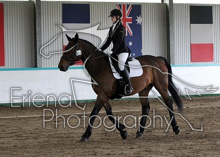 Novice 24034