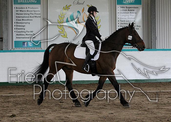 Novice 24038