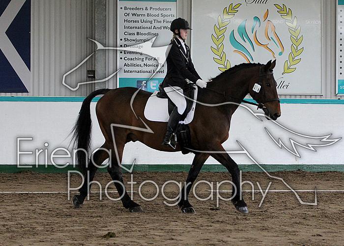 Novice 24041