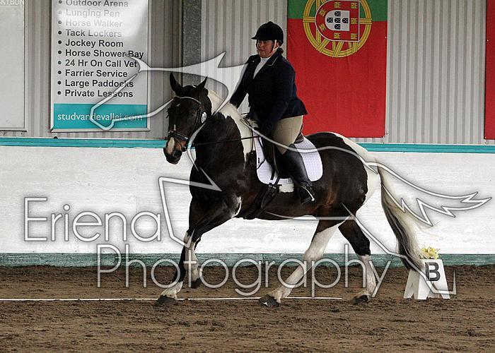 Novice 24077