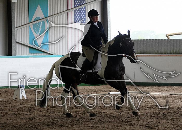 Novice 24084