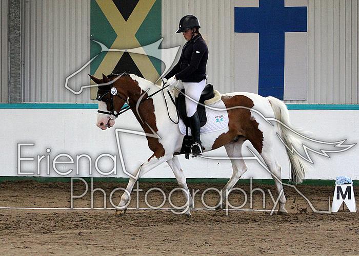 Novice34012