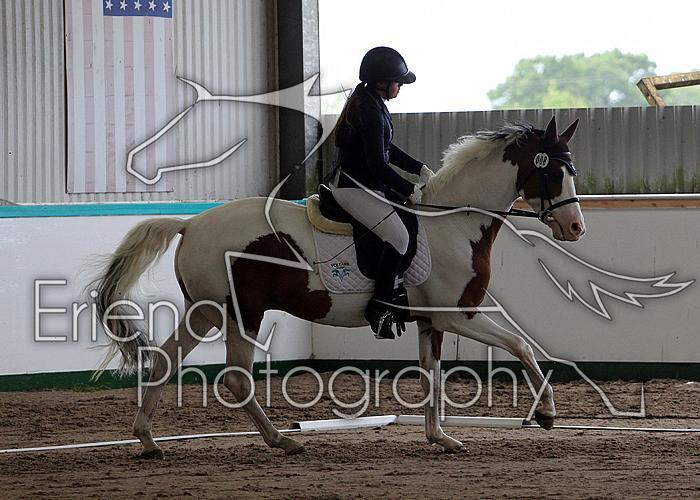 Novice34014