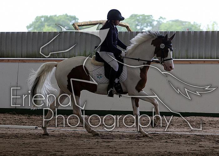 Novice34015