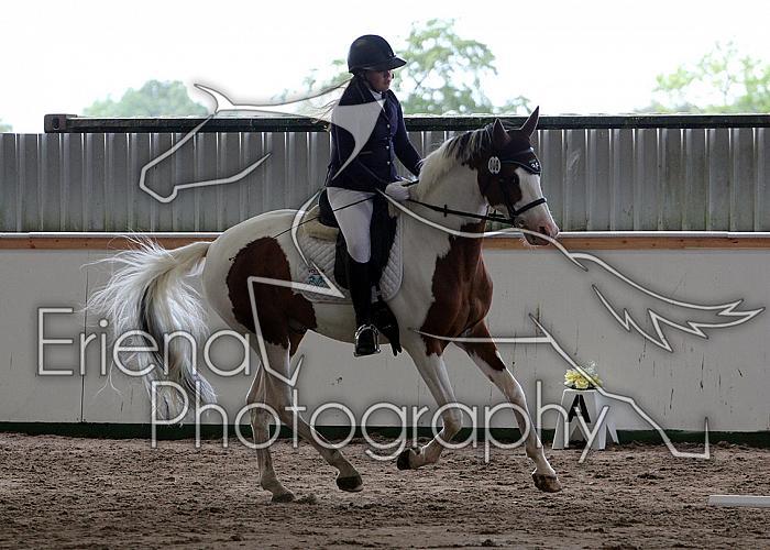 Novice34018