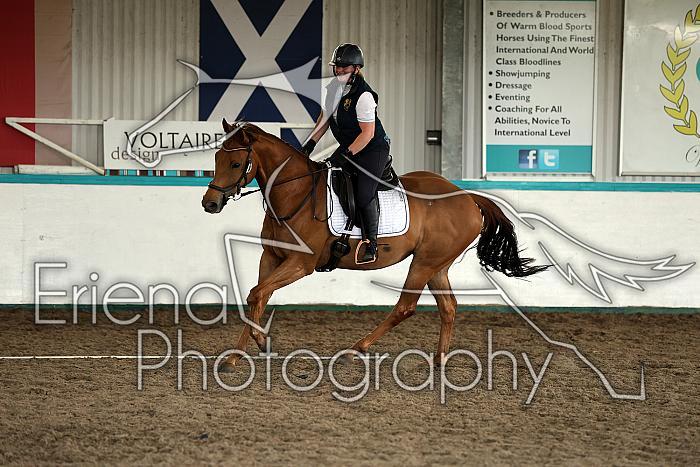 Novice4017