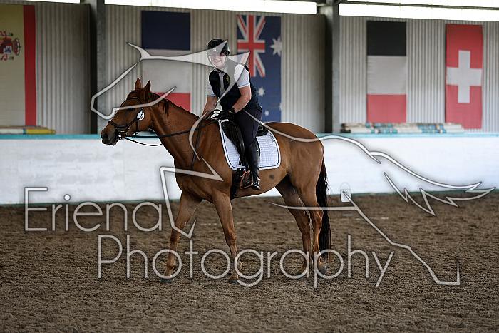 Novice4044