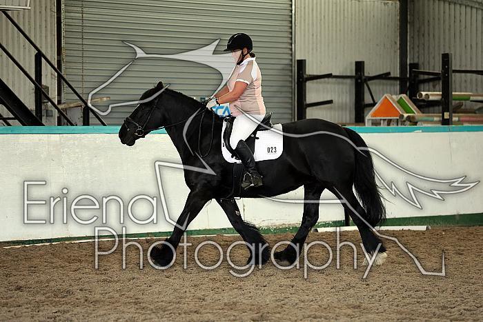 Novice4091