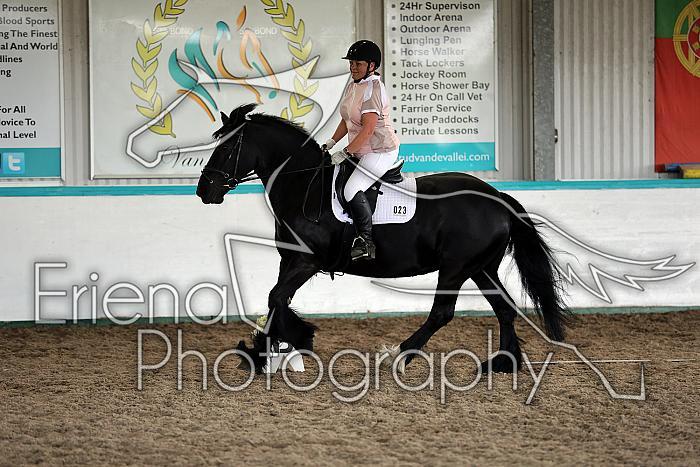 Novice4093