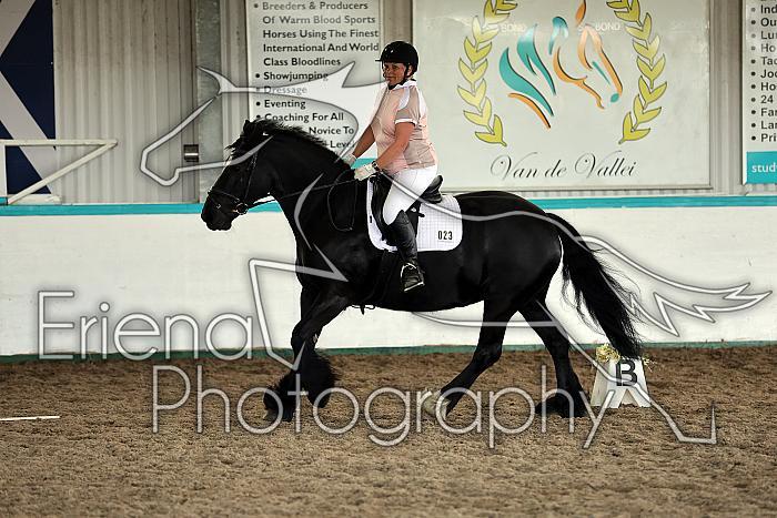Novice4094