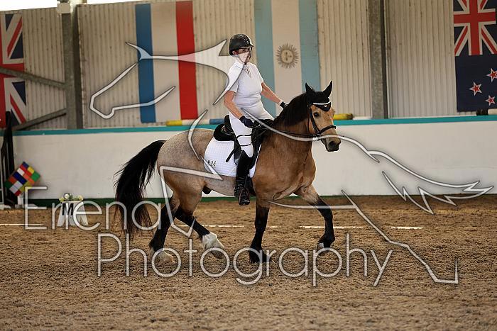 Novice5008