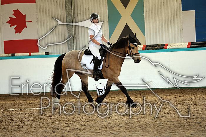 Novice5015