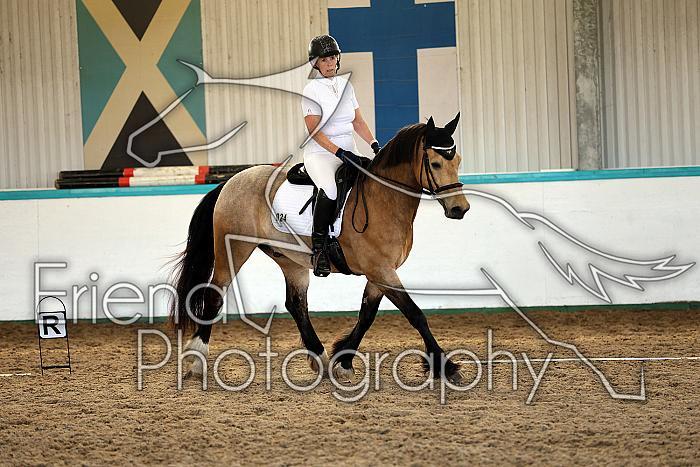 Novice5016