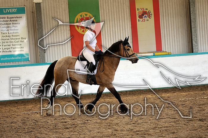 Novice5017