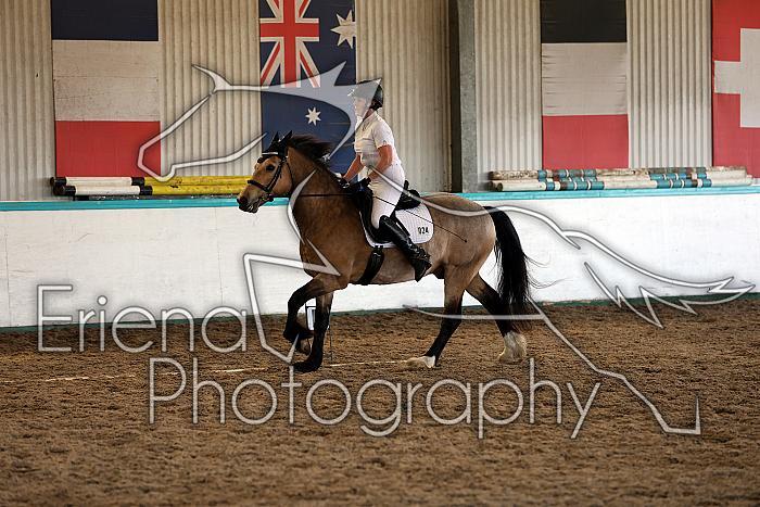 Novice5019