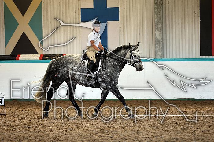 Novice5039