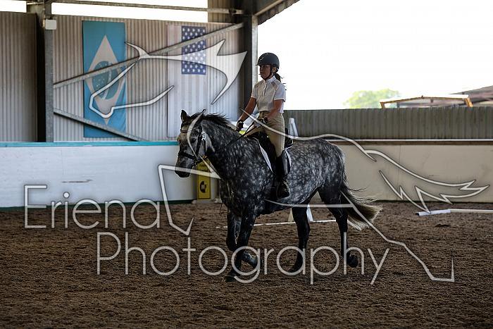 Novice5046