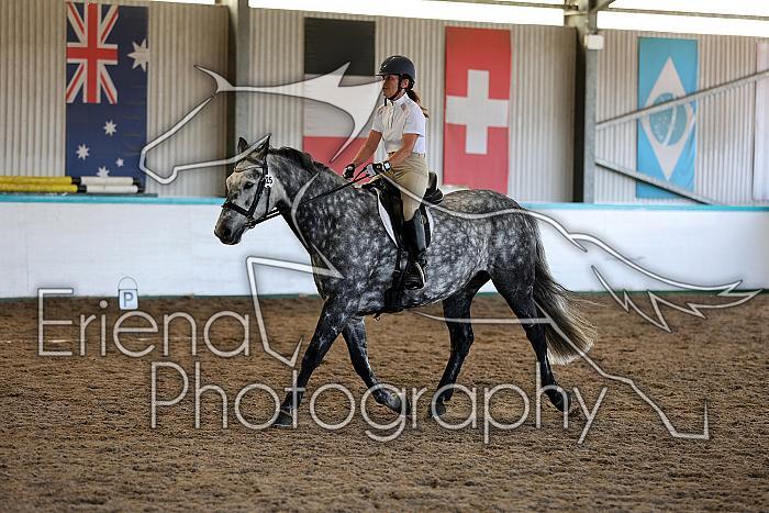 Novice5048