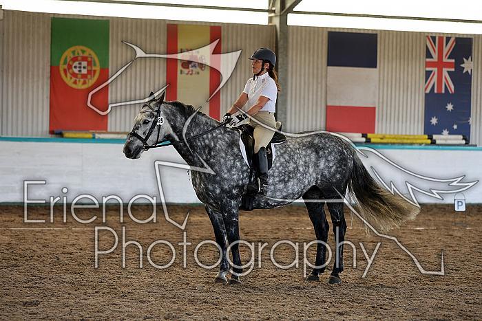 Novice5050