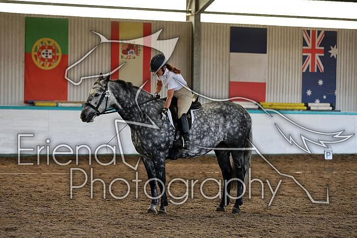 Novice5052