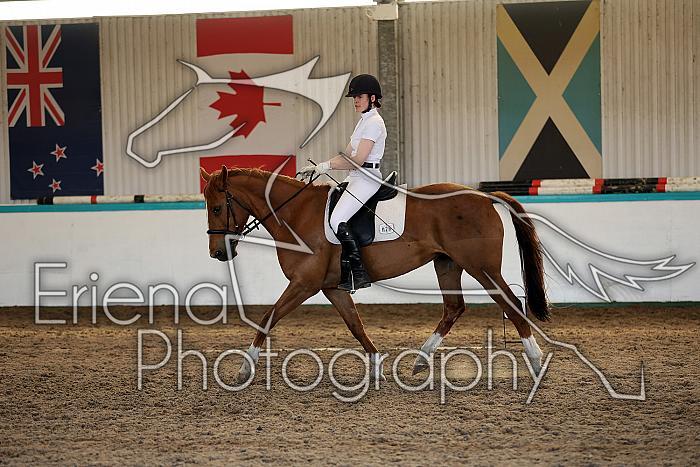 Novice5059