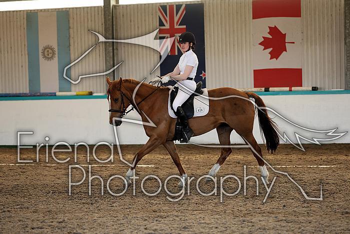Novice5060