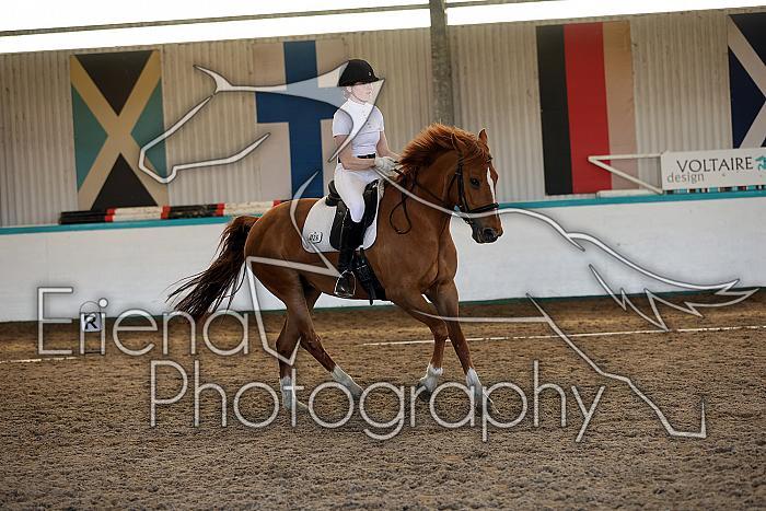 Novice5067