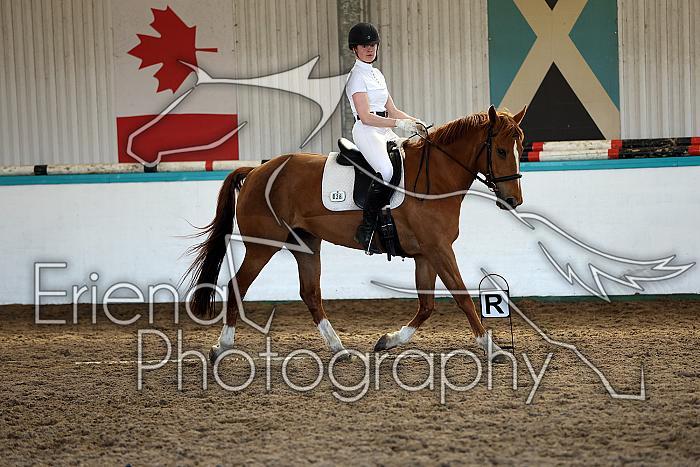 Novice5071
