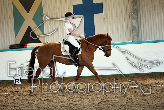 Novice5073
